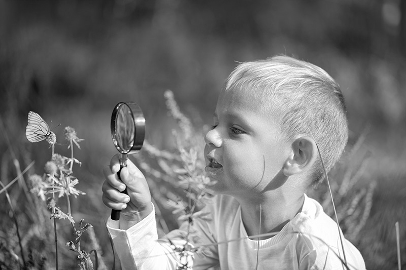 Child examining a butterfly through a magnifying glass